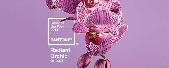 Pantone Radiant Orchid